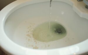 Nettoyage écologique des toilettes avec des produits naturels contre le tartre.